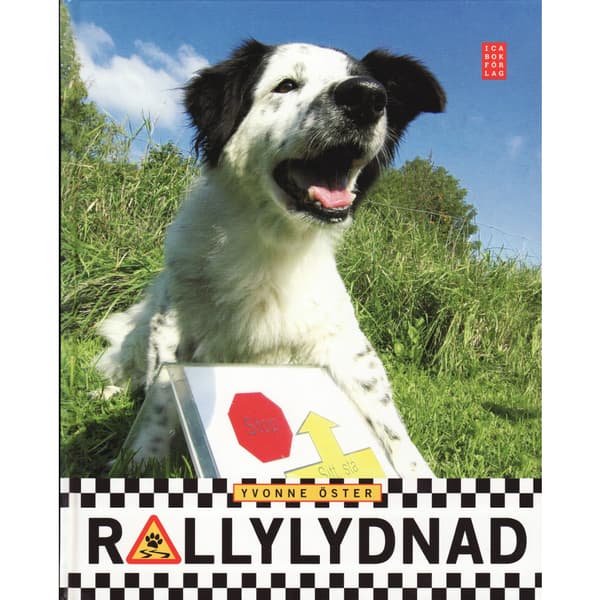 Rallylydnad (inbunden)