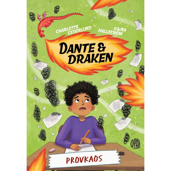 Provkaos (inbunden)