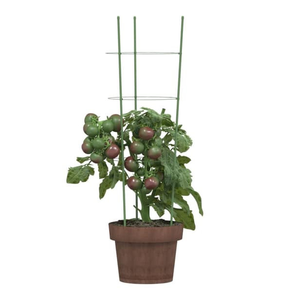 Växtstöd med 3 ringar 5 st grön 60 cm stål