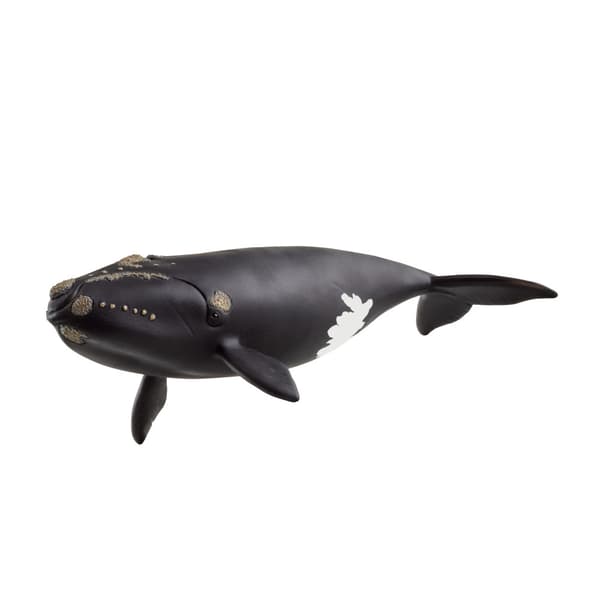 schleich® nordkapare