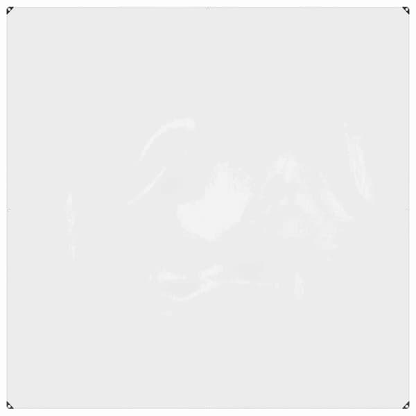 Tarpulin Transparent 2 x 2 m PVC