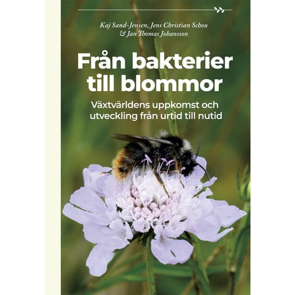Från bakterier till blommor (inbunden)