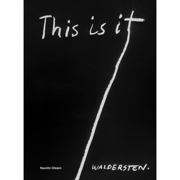 This is it (bok, danskt band)