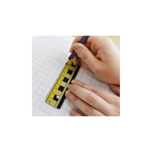 Linjal 30cm dm/cm/mm-grader plast 10/fp