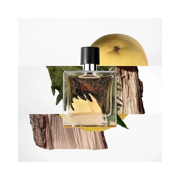 Terre dHermes Edt 100ml
