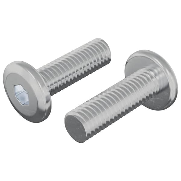 Skruv 2 pcs Silver 8 x 25 mm Stål