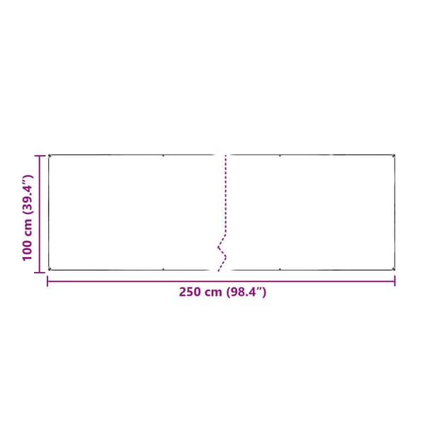 Tarp Transparent 2,5 x 1 m PE