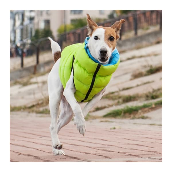 Värmeväst Airyvest quiltad