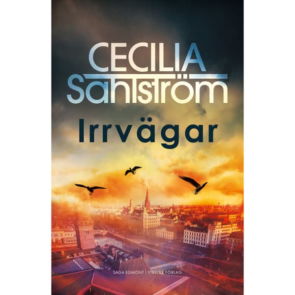 Irrvägar (inbunden)