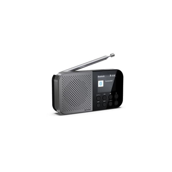 Sharp DR-P520, Personal, Digital, DAB, DAB+, FM, AAC, 5,08 (Öppnad)