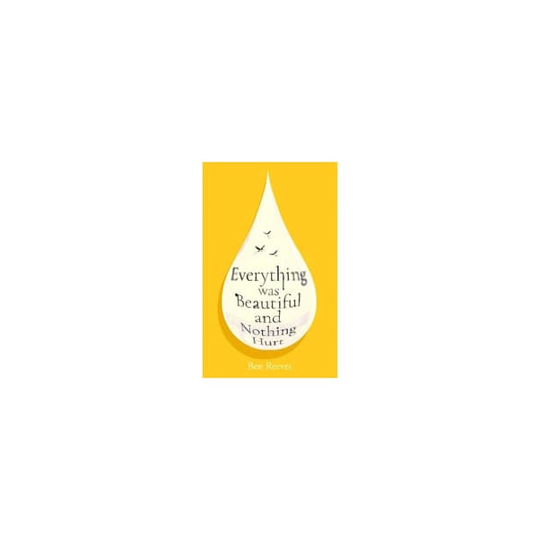 Everything was Beautiful and Nothing Hurt (pocket, eng)