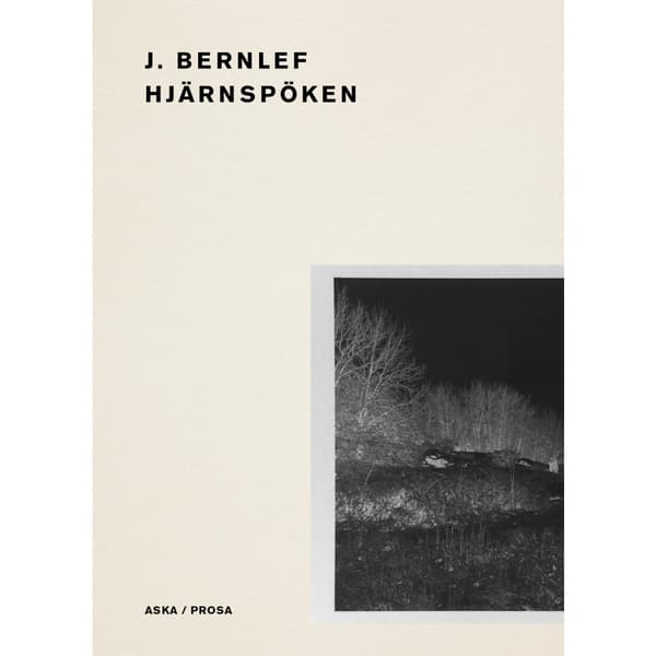 Hjärnspöken (bok, danskt band)