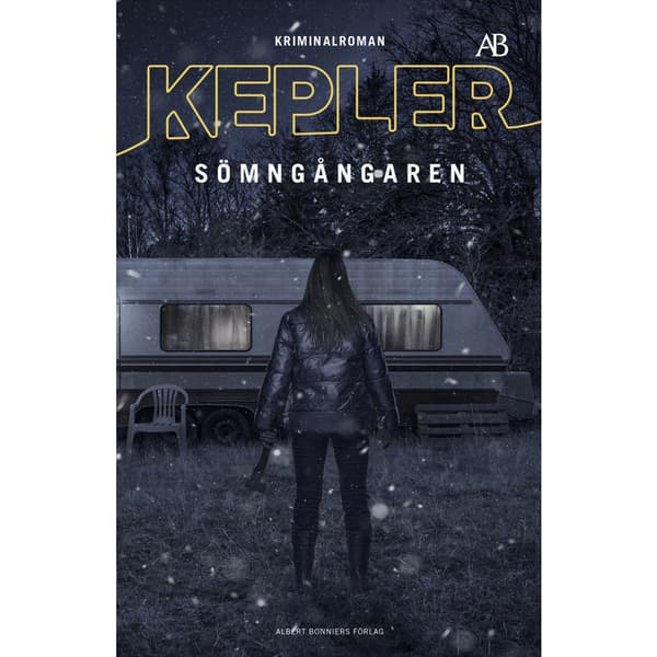 Sömngångaren (bok, storpocket)