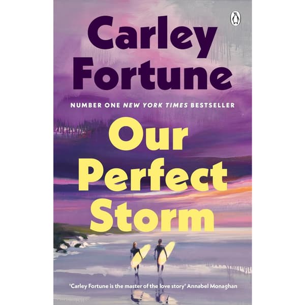 Our Perfect Storm (häftad, eng)
