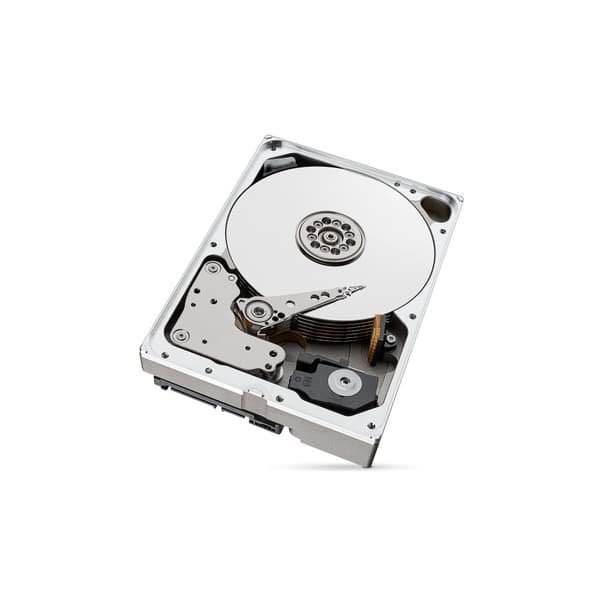 Seagate IronWolf Pro ST10000NT001 - hårddisk - 10 TB - SATA 6Gb/s