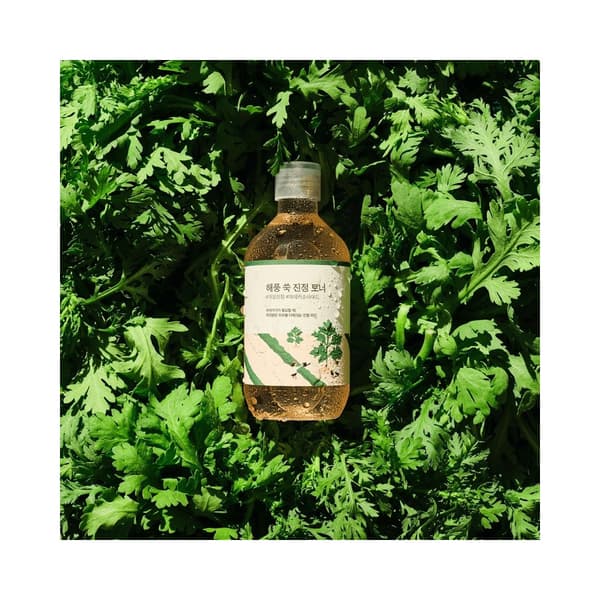 Mugwort Calming Toner 300ml
