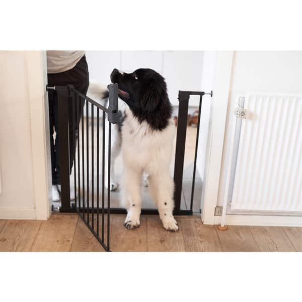 Lassie Hundgrind Svart