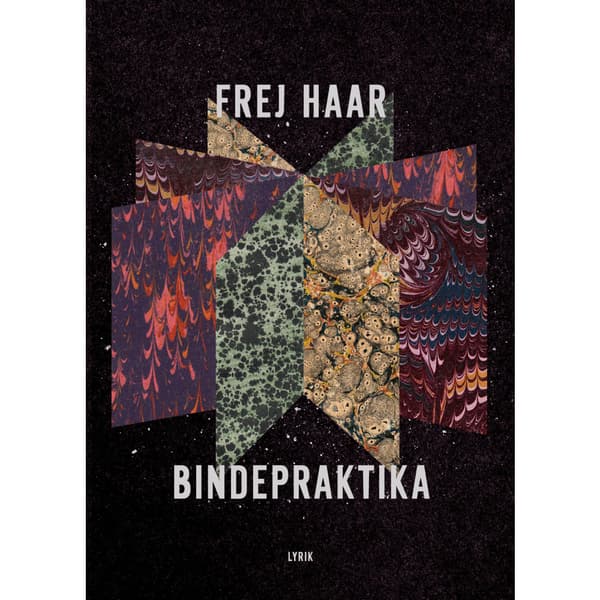 Bindepraktika (bok, danskt band)