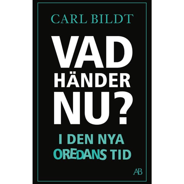 Vad händer nu? : I den nya oredans tid (bok, storpocket)