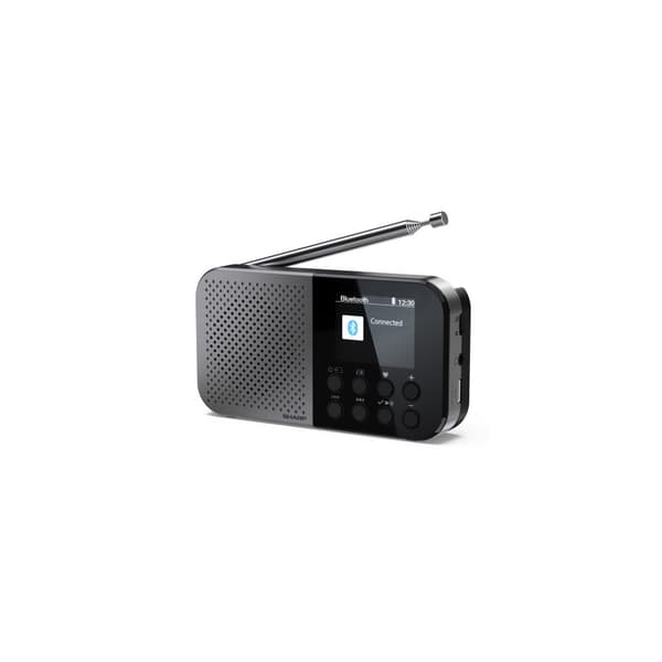 Sharp DR-P520, Personal, Digital, DAB, DAB+, FM, AAC, 5,08 (Öppnad)