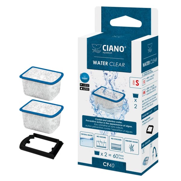 Water Clear Small Ciano 2-pack