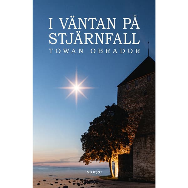 I väntan på stjärnfall (inbunden)