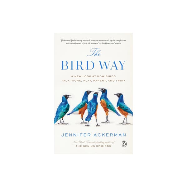 The Bird Way (häftad, eng)