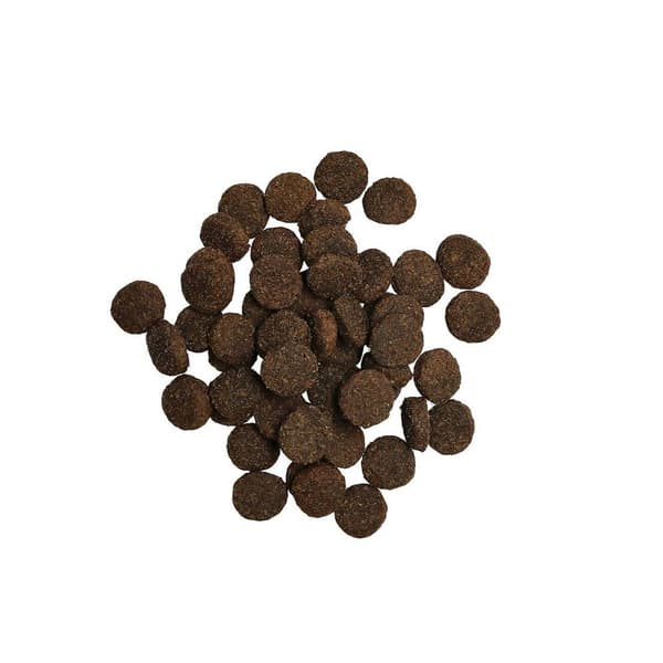 Adult Lamb spannmålsfritt hundfoder 3kg