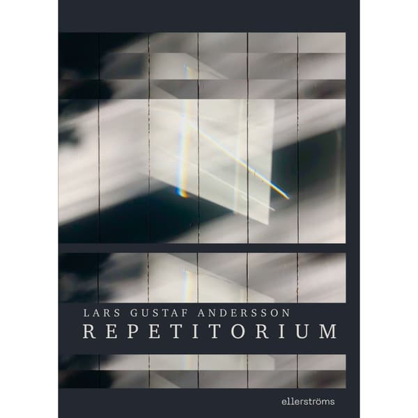 Repetitorium (bok, danskt band)