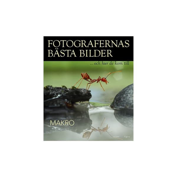 Fotografernas bästa bilder - Makro (inbunden)
