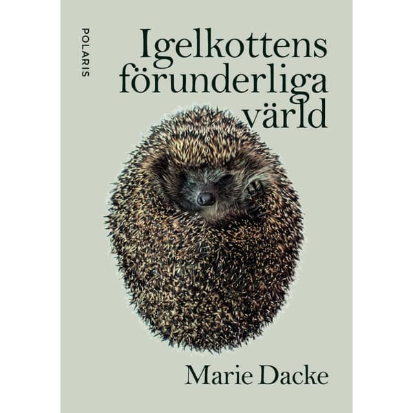 Igelkottens förunderliga värld (bok, flexband)