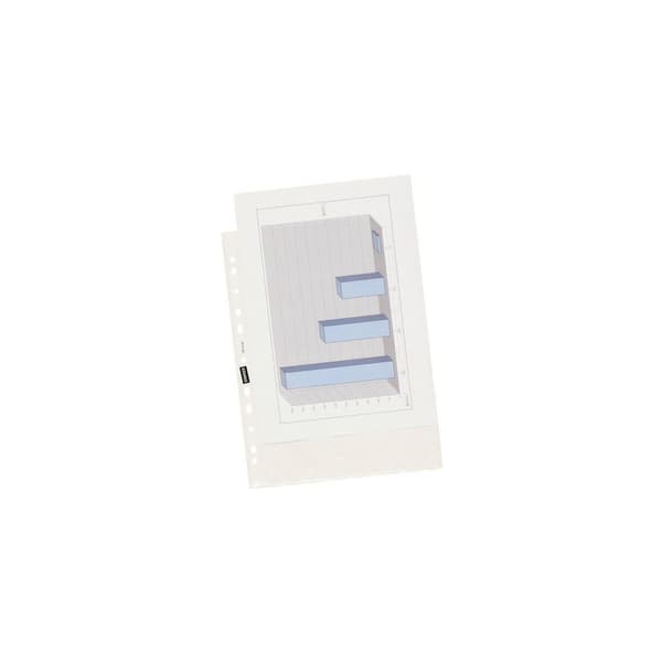 Plastficka A4 0,05 präglad100/fp