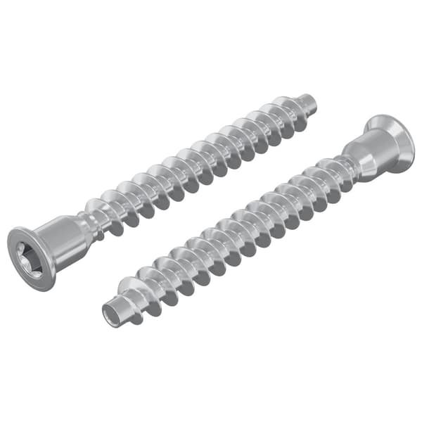 Konfirmationsskruvar 2 pcs Silver Ø7 x 58 mm Metall