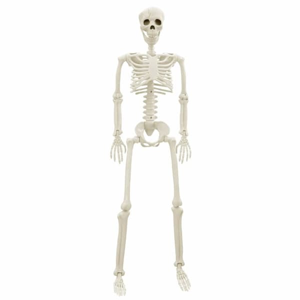 Halloween skelett 2 pcs Vit 85 cm PVC