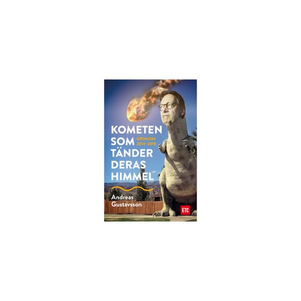 Kometen som tänder deras himmel (bok, flexband)