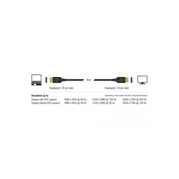 DeLOCK 85660 DisplayPort-kabel 2 m Svart