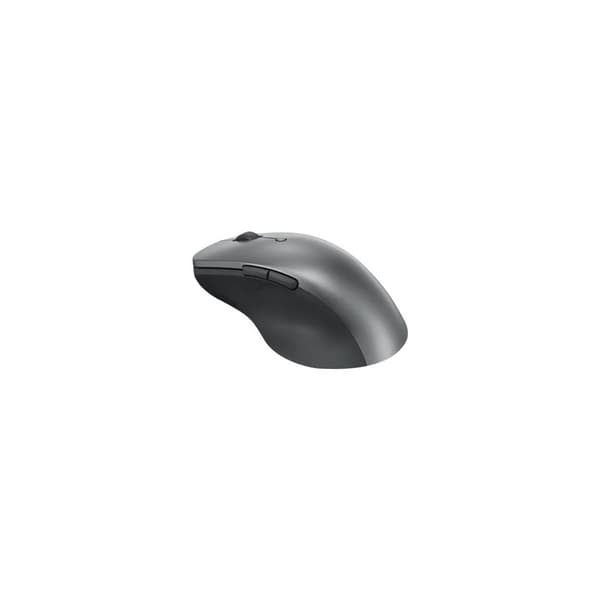 Lenovo Professional - mus - Bluetooth 5.1 - åskmolnsgrå