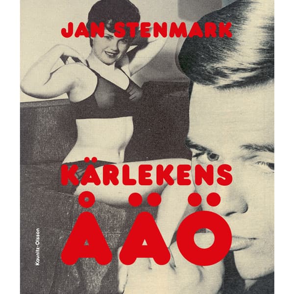 Kärlekens ÅÄÖ (bok, danskt band)