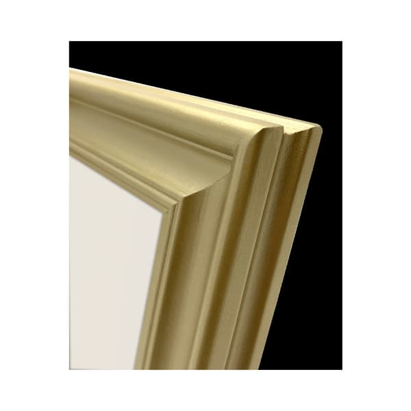 Focus Lotus Gold 18x24
