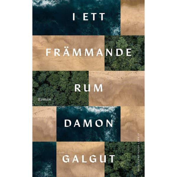 I ett främmande rum (inbunden)