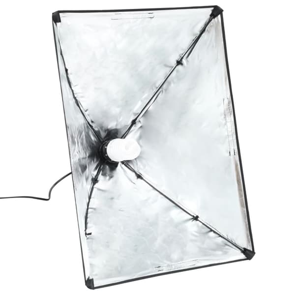 Professionella studiolampor 2 st 40x60 cm stål svart