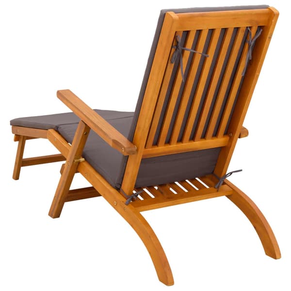 Reclining och Fällbar Solstol 55 x 146 x 91 cm