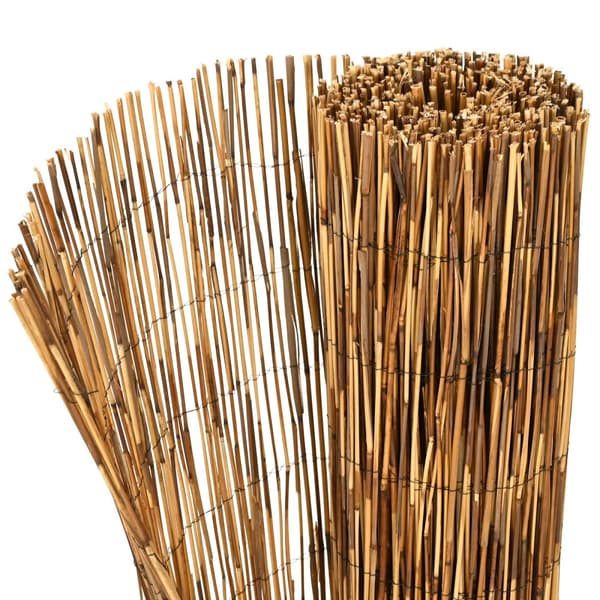 Trädgårdsstängsel Karbomiserad 500 x 100 cm Vass