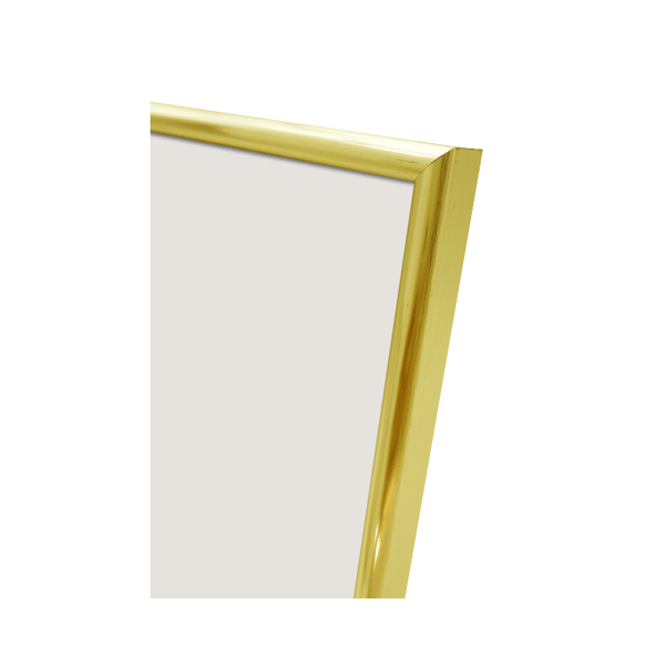 Focus Lily Gold 21x30