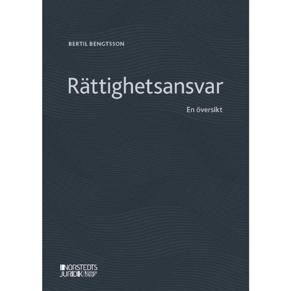 Rättighetsansvar : en översikt (häftad)