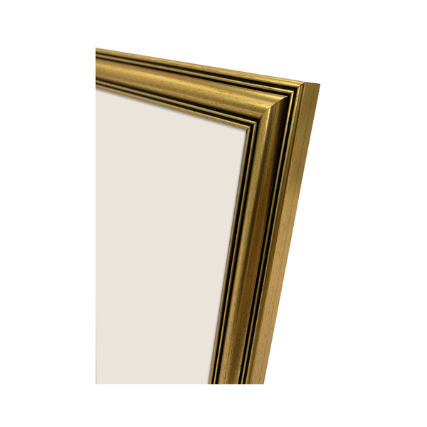 Focus Holly Gold 30x40
