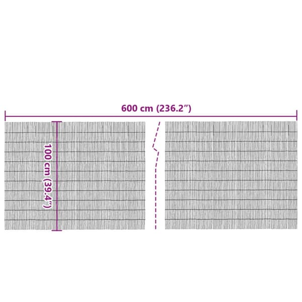 Insynsskydd 600x100 cm vass