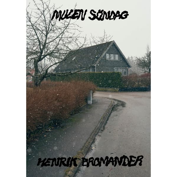 Mulen söndag (häftad)