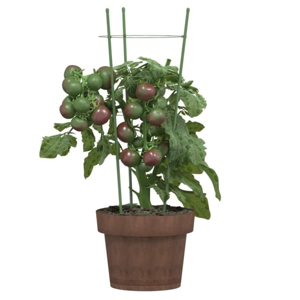 Växtstöd med 3 ringar 5 st grön 45 cm stål