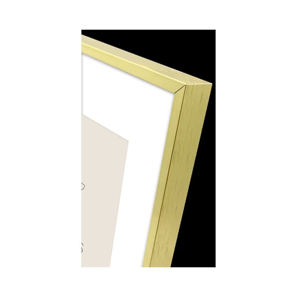 Focus Aster Gold 24x30/PP 18x24